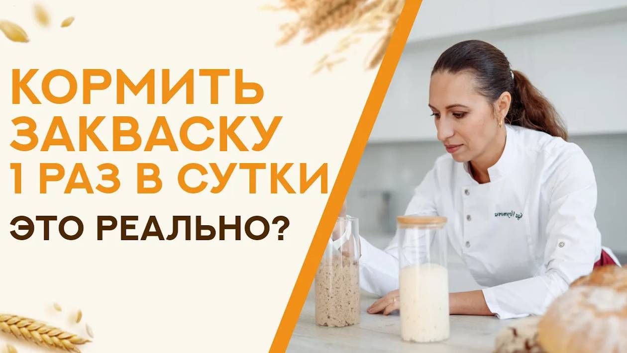 Можно ли вести закваску так, чтобы кормить ее один раз в сутки?