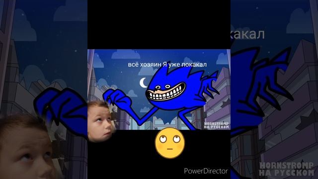 как какает шин sonic