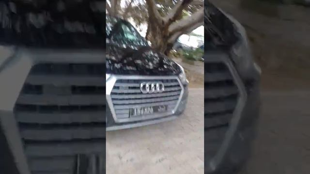 Our cars (Audi Q7-Audi A7-BMW 230 i)
