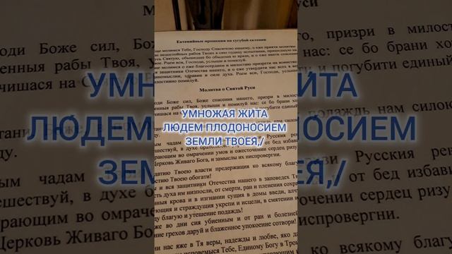 Святы́й благове́рный вели́кий кня́же Алекса́ндре, моли́ Бо́га о на́с🕊 #shorts