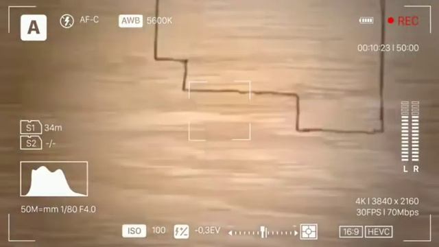 еслатмада албата фойда бор