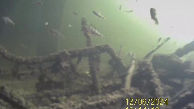 1000034748.mp4Волга гл.4м.06.12.2024г.