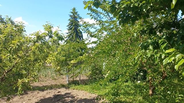 г. Ессентуки и г. Кисловодск. Сдаем 2 квартиры для отдыхающих.
