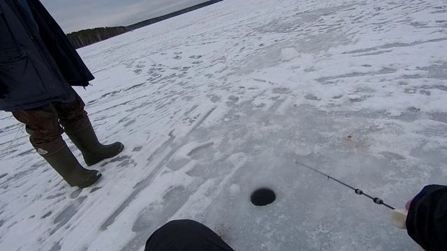 Насосная на Белоярском водохранилище. Показал удилку в деле.