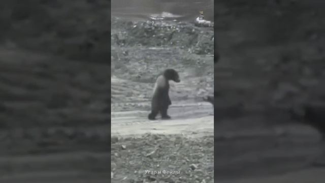 1000014278.mp4