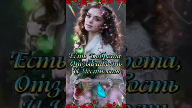 Video.Guru_20241205_190716603.mp4