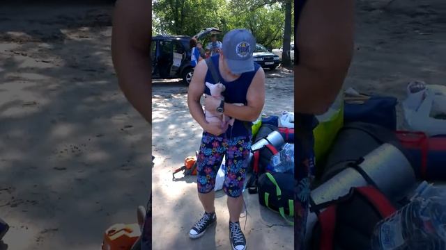 2012 - фишка писяет