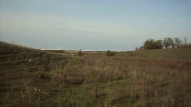 MOV05906