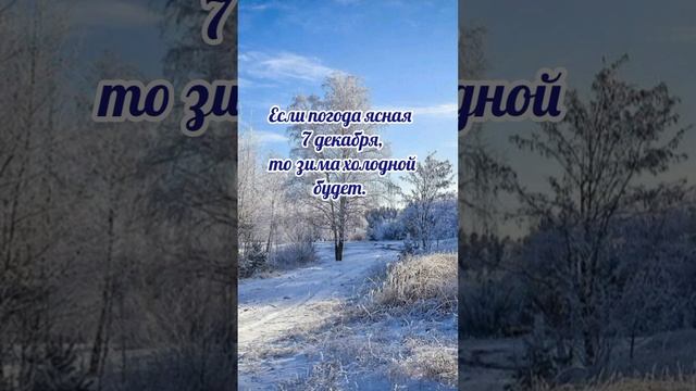 7 декабря# Екатеринин день# приметы и обычаи