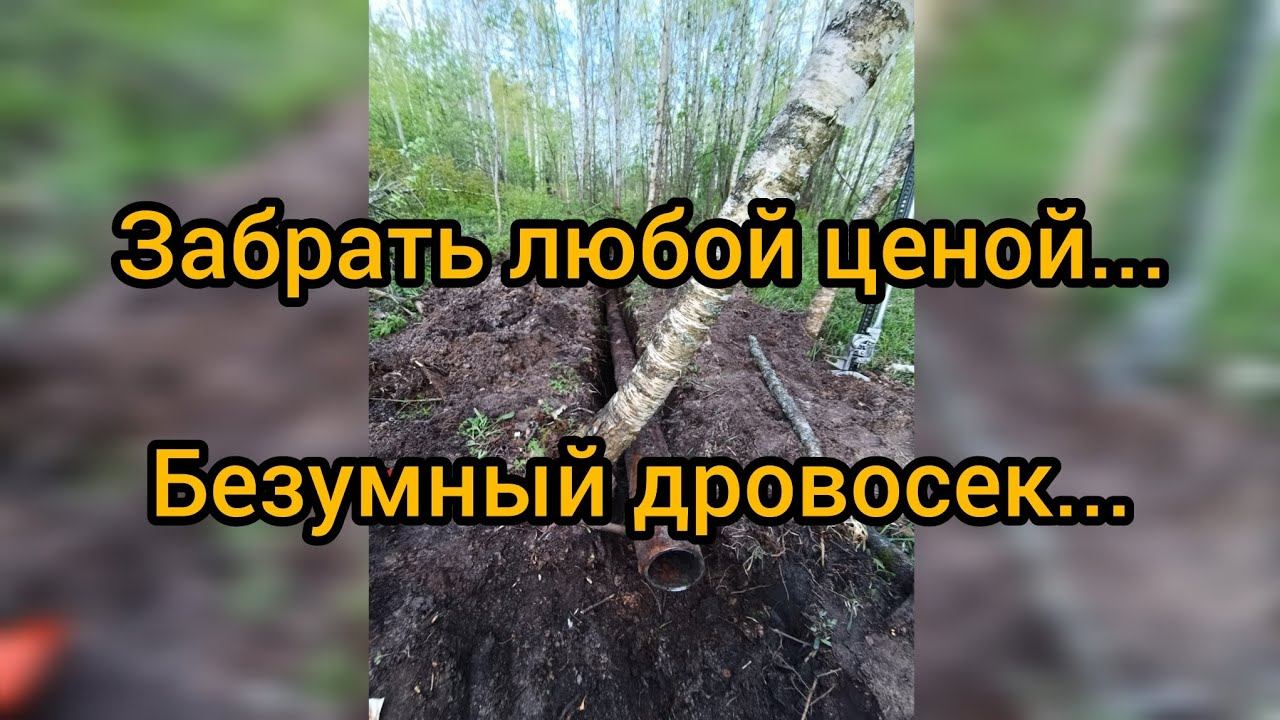 Металлокоп 2024.Новый личный рекорд за выезд!