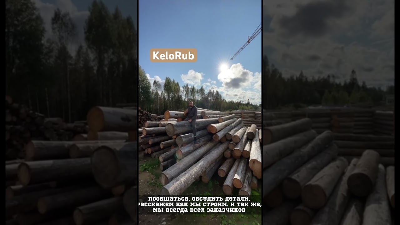 #кело #сруббани #срубдома #баняизкело #карелия