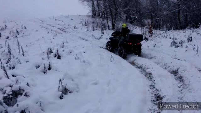 Покатухи на квадрах.