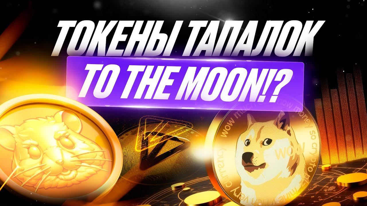 Токены тапалок TO THE MOON? Разбор Notcoin, Hamster, CATS, Catizen и Pixelverse