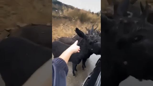 знакомство