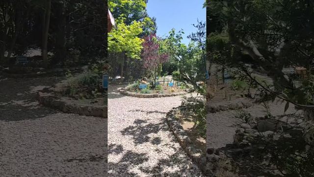 Отель "Мыс" Севастополь. Парковая зона.