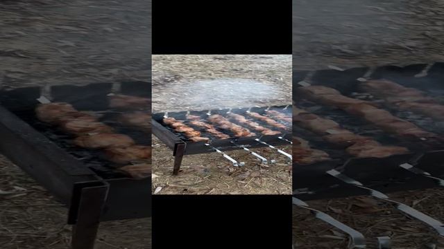 Отдых на Волге