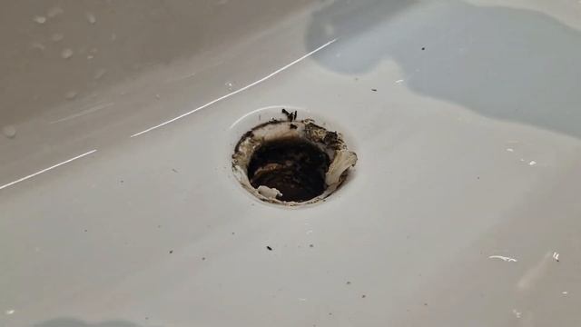 Ablaufventil hansgrohe push open montieren | ohne spezielles Werkzeug