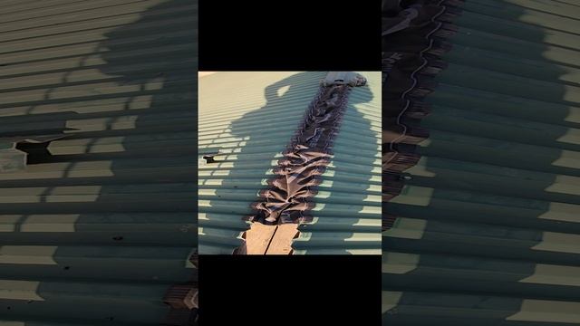 1000121756.mp4