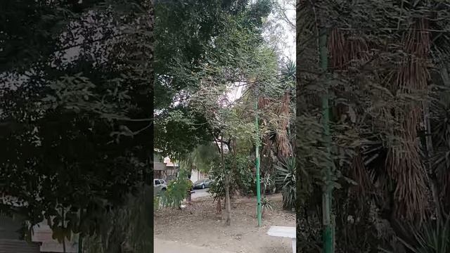 Parque Jorge Enciso