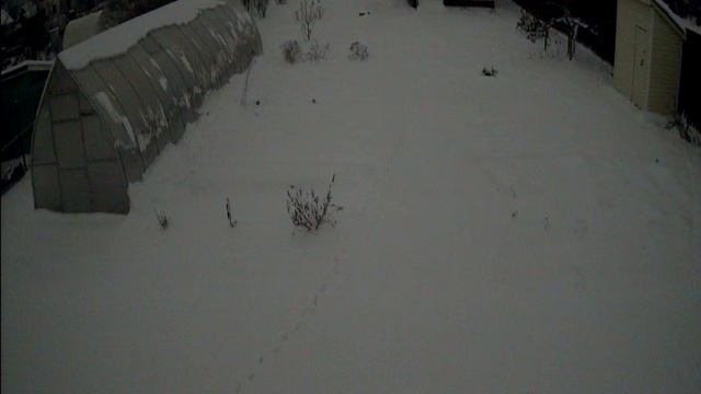 Запись камеры 2Мп ночью