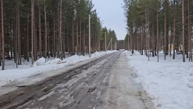 Второй год живём в сарайчике на даче/смотрим участки/приготовила творожные сырки с черничным джемом