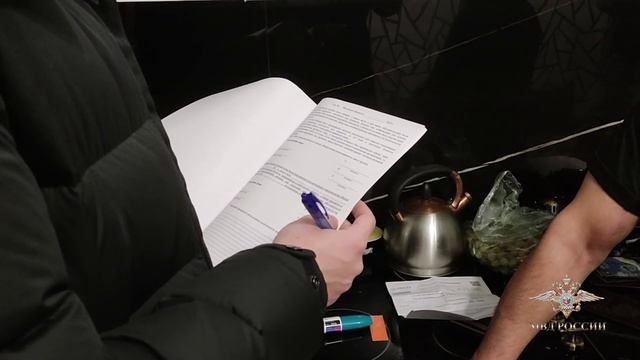 Ирина Волк: В Санкт-Петербурге перекрыт канал незаконной миграции