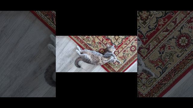 мои воспоминания