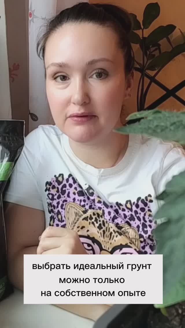 🌱 Идеальный грунт — какой он? 🤔