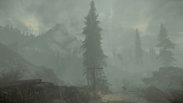 Skyrim Music & Ambience _ Walking Across Skyrim - Shor's Stone To Windhelm _ Ambient Music