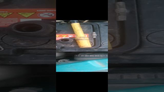 VID_20241206_151602.mp4
