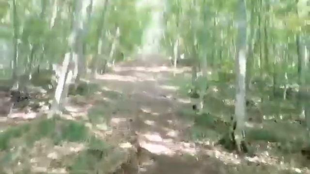 Ktm exc 450 2009 & Honda crf 450 2009 UPHILL RIDE