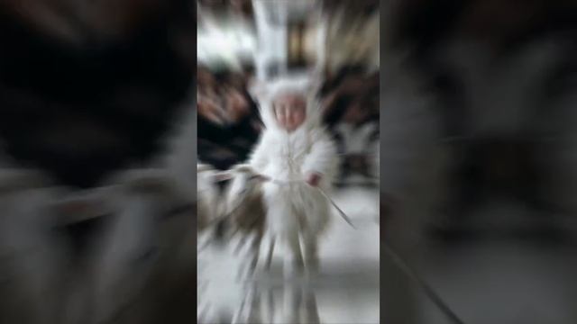 Нейро работы 1 (17)