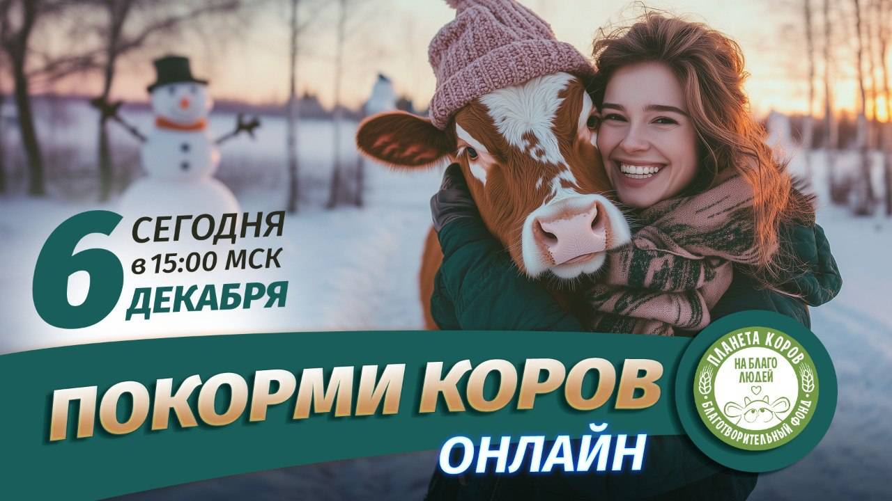 Кормление коров онлайн 06 декабря 2024 г., Планета коров