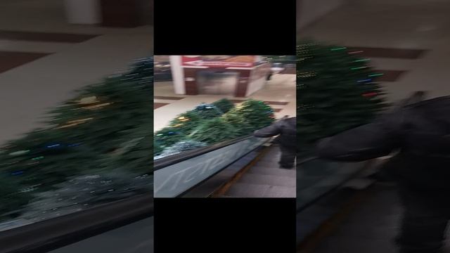 1000049454.mp4Предновогодняя суета