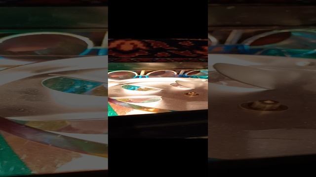 VID_20241206_145832