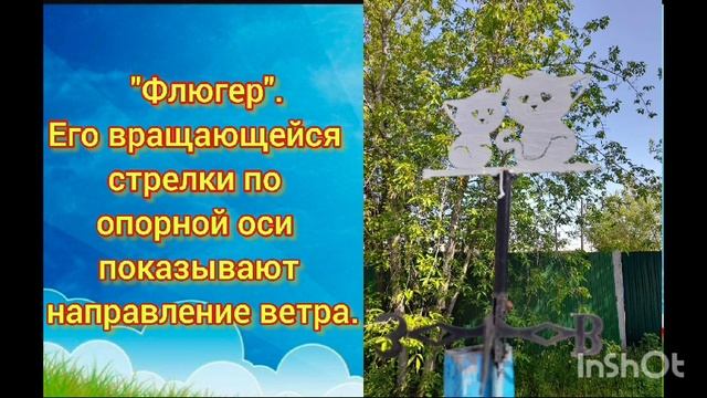 Метеостанция МАДОУ "Детский сад № 31"