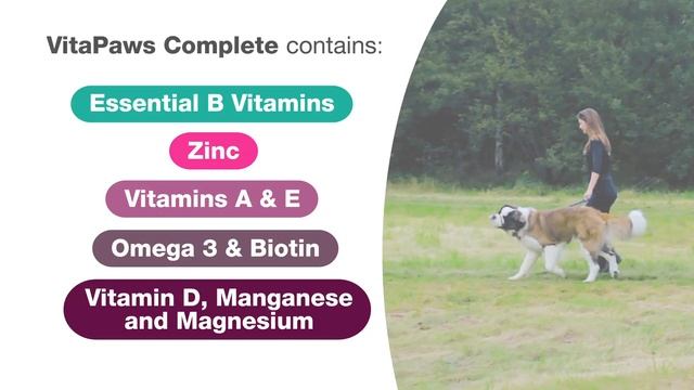 What is VitaPaws Complete?