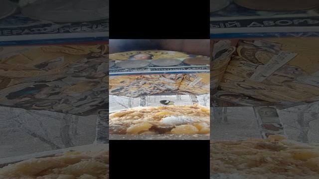 1000034740.mp4Кормушка.06.12.2024г.