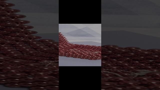 20241206_164249.mp4