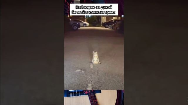 наблюдаю за дикой битвой в комментариях