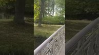 Парк в Гатчине. Видео канала Мой Петербург.