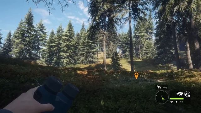 Dropping a Diamond Moose & Gobbler for the Layton Trophy Cabin!