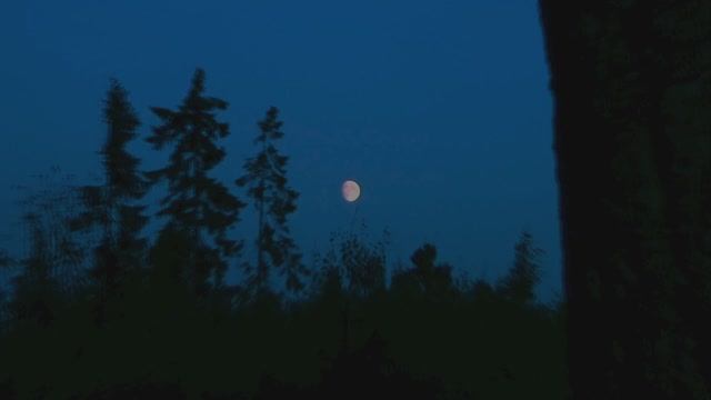 Прекрасная Зеленая
