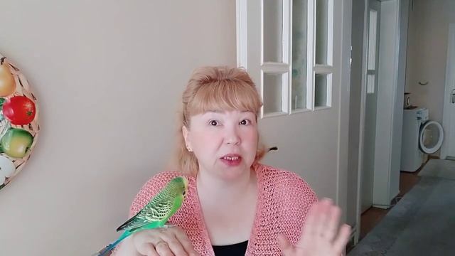 Влог_ Что с Кешей 😁✔️Мы Эгоисты✔️Муж Продаёт Магазин✔️Невезучие😁✔️Удалила От Греха подальше✔️Турци