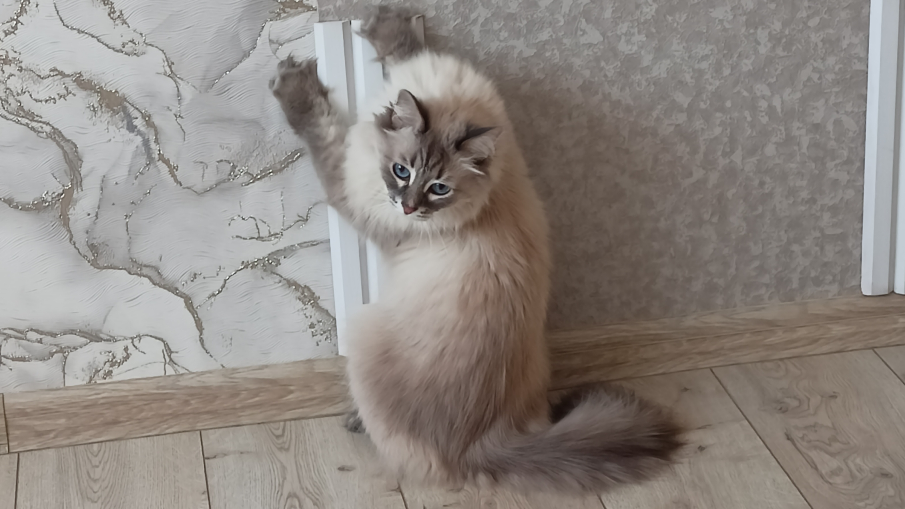 ТУРНИР УЖЕ СКоРО🫣 ГОТОВИМСЯ🏆💪