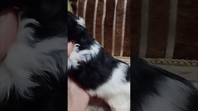 1000119955.mp4