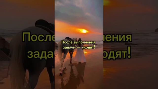 Предсказания по дате рождения