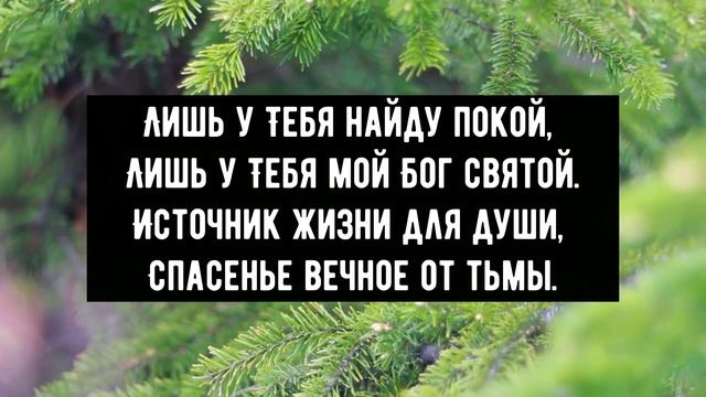 Счастье жизнь свою отдать Христу - минус мой