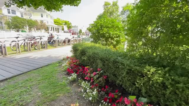 Расслабляющая прогулка среди садов острова Макино. Экскурсии по саду, лошади и звуки природы!...
