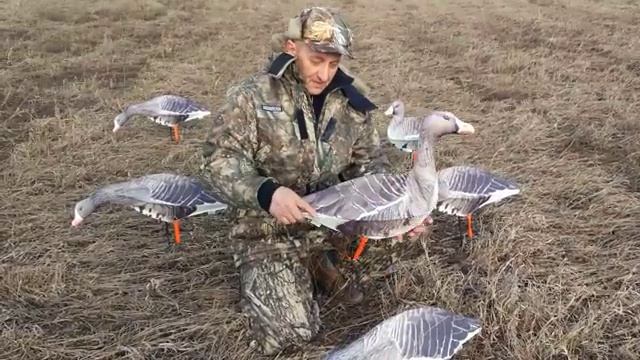 ОБЗОР ЧУЧЕЛА ГУСЬ БЕЛОЛОБЫЙ ОТ КОМПАНИИ SEVEN BIRDS